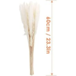 MINKUROW 30 Pcs Herbe De Pampa, Herbe De Pampa Naturelle Herbe De Pampa Séchée Phragmites Bouquet De Fleurs Séchées Décoration Pour La Maison -Pas Cher Flore Calme Magasin 64680495 5