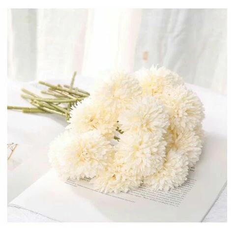 Ensoleillé Petite Boule Artificielle Chrysanthème Branche Unique Petite Boule Chrysanthème Affichage à La Maison Fleurs Séchées Simples Et Propres Melaleuca Chrysanthème Petit Frais (10 Blanc) 3 Ensoleillé Petite Boule Artificielle Chrysanthème Branche Unique Petite Boule Chrysanthème Affichage à La Maison Fleurs Séchées Simples Et Propres Melaleuca Chrysanthème Petit Frais (10 Blanc)
