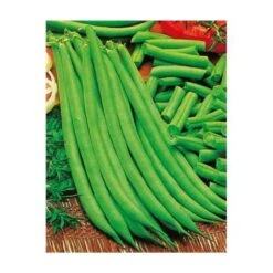 HARICOT NAIN PRIMEL - 150 G