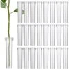 90 Fleur Tube De 2,8 Pouces De Long, Transparent Flacon Fleur Plastique Avec Bouchon Réutilisable Et Durable Pour Fleur D’Eau Conteneur, Tubes à Eau Fleur Décoration, Boutures Asclépiade Rose -Pas Cher Flore Calme Magasin 68272988 1