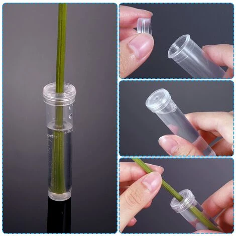 90 Fleur Tube De 2,8 Pouces De Long, Transparent Flacon Fleur Plastique Avec Bouchon Réutilisable Et Durable Pour Fleur D’Eau Conteneur, Tubes à Eau Fleur Décoration, Boutures Asclépiade Rose 4 90 Fleur Tube De 2,8 Pouces De Long, Transparent Flacon Fleur Plastique Avec Bouchon Réutilisable Et Durable Pour Fleur D’Eau Conteneur, Tubes à Eau Fleur Décoration, Boutures Asclépiade Rose – Image 2