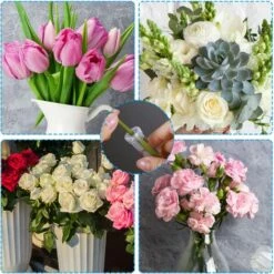 90 Fleur Tube De 2,8 Pouces De Long, Transparent Flacon Fleur Plastique Avec Bouchon Réutilisable Et Durable Pour Fleur D’Eau Conteneur, Tubes à Eau Fleur Décoration, Boutures Asclépiade Rose 10 90 Fleur Tube De 2,8 Pouces De Long, Transparent Flacon Fleur Plastique Avec Bouchon Réutilisable Et Durable Pour Fleur D’Eau Conteneur, Tubes à Eau Fleur Décoration, Boutures Asclépiade Rose -Pas Cher Flore Calme Magasin 68272988 4