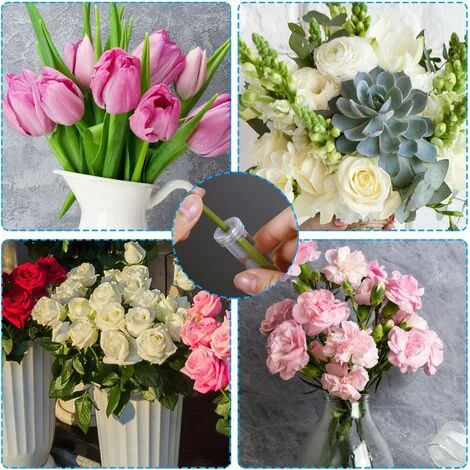 90 Fleur Tube De 2,8 Pouces De Long, Transparent Flacon Fleur Plastique Avec Bouchon Réutilisable Et Durable Pour Fleur D’Eau Conteneur, Tubes à Eau Fleur Décoration, Boutures Asclépiade Rose 6 90 Fleur Tube De 2,8 Pouces De Long, Transparent Flacon Fleur Plastique Avec Bouchon Réutilisable Et Durable Pour Fleur D’Eau Conteneur, Tubes à Eau Fleur Décoration, Boutures Asclépiade Rose – Image 4