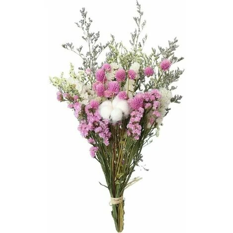 Fleurs Séchées Bouquet RosCoton Eucalyptus Marguerite Séchées Plantes Fleurs Ornements Faits À La Main Fleurs Pour Le Bricolage Maison Vase De - Rose 3 Fleurs Séchées Bouquet RosCoton Eucalyptus Marguerite Séchées Plantes Fleurs Ornements Faits À La Main Fleurs Pour Le Bricolage Maison Vase De - Rose
