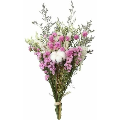 Fleurs Séchées Bouquet RosCoton Eucalyptus Marguerite Séchées Plantes Fleurs Ornements Faits À La Main Fleurs Pour Le Bricolage Maison Vase De - Rose 5 Fleurs Séchées Bouquet RosCoton Eucalyptus Marguerite Séchées Plantes Fleurs Ornements Faits À La Main Fleurs Pour Le Bricolage Maison Vase De - Rose – Image 3