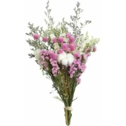 Fleurs Séchées Bouquet RosCoton Eucalyptus Marguerite Séchées Plantes Fleurs Ornements Faits À La Main Fleurs Pour Le Bricolage Maison Vase De - Rose 9 Fleurs Séchées Bouquet RosCoton Eucalyptus Marguerite Séchées Plantes Fleurs Ornements Faits À La Main Fleurs Pour Le Bricolage Maison Vase De - Rose -Pas Cher Flore Calme Magasin 71245088 4