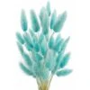 READCLY-50 Pcs Herbe De La Pampa Fleurs Séchées Ne Se Fanent Jamais Fleur Sechees Décoration Naturelle Boheme Fleurs Déco Anniversaire Décoration Mariage Décoration Maison (Bleu Tiffany Clair)