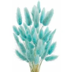 READCLY-50 Pcs Herbe De La Pampa Fleurs Séchées Ne Se Fanent Jamais Fleur Sechees Décoration Naturelle Boheme Fleurs Déco Anniversaire Décoration Mariage Décoration Maison (Bleu Tiffany Clair)