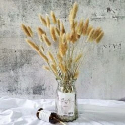 Naturellement Séché Lagurus Ovatus 90 Pcs Séché Queues De Lapin Pampa Pour Arrangements De Fleurs De Mariage Décor à La Maison 8 Naturellement Séché Lagurus Ovatus 90 Pcs Séché Queues De Lapin Pampa Pour Arrangements De Fleurs De Mariage Décor à La Maison -Pas Cher Flore Calme Magasin 71978673 2