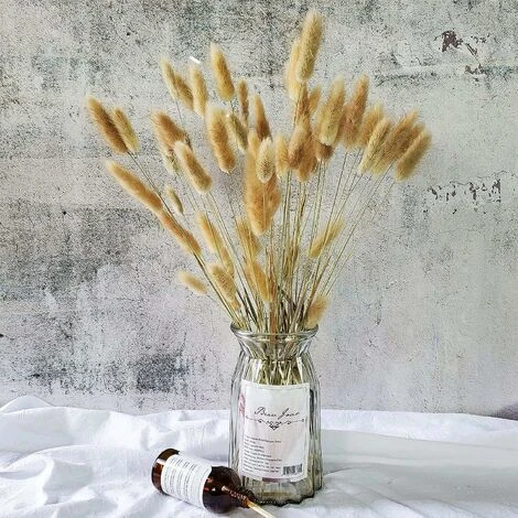 Naturellement Séché Lagurus Ovatus 90 Pcs Séché Queues De Lapin Pampa Pour Arrangements De Fleurs De Mariage Décor à La Maison 4 Naturellement Séché Lagurus Ovatus 90 Pcs Séché Queues De Lapin Pampa Pour Arrangements De Fleurs De Mariage Décor à La Maison – Image 2
