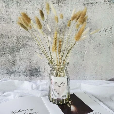 Naturellement Séché Lagurus Ovatus 90 Pcs Séché Queues De Lapin Pampa Pour Arrangements De Fleurs De Mariage Décor à La Maison 7 Naturellement Séché Lagurus Ovatus 90 Pcs Séché Queues De Lapin Pampa Pour Arrangements De Fleurs De Mariage Décor à La Maison – Image 5