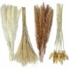 Herbe De La Pampa Naturelle Séchée 80pcs，15Pcs Blanc 15Pcs Brun 30Pcs Roseau 20Pcs Queue De Lapin, Bouquet De Fleurs Séchées Pour La Décoration De La Maison, Du Mariage Et Du Style Boho