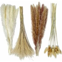 Herbe De La Pampa Naturelle Séchée 80pcs，15Pcs Blanc 15Pcs Brun 30Pcs Roseau 20Pcs Queue De Lapin, Bouquet De Fleurs Séchées Pour La Décoration De La Maison, Du Mariage Et Du Style Boho