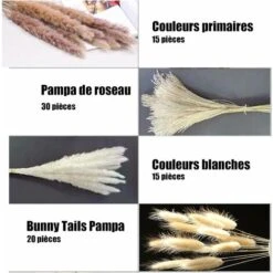 Herbe De La Pampa Naturelle Séchée 80pcs，15Pcs Blanc 15Pcs Brun 30Pcs Roseau 20Pcs Queue De Lapin, Bouquet De Fleurs Séchées Pour La Décoration De La Maison, Du Mariage Et Du Style Boho -Pas Cher Flore Calme Magasin 72512346 3