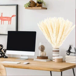 Lot De 10, Séchées, Herbe De Pampa, 50 Cm, Naturel, Herbe De Pampa, Séché, Pampa, Herbe De Pampa, Naturel, Roseau, Séché, Fleurs Séchées, Herbe De Pampa, Pour, Décoration D'Intérieur -Pas Cher Flore Calme Magasin 72594814 5