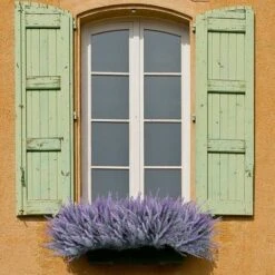 Paquet De 12 Fausses Fleurs Artificielles Lavande Violet Plastique Fausses Fleurs Pour La Maison Mariage Cuisine Jardin Patio Fenêtre Bureau Table Centres De Table Ind -Pas Cher Flore Calme Magasin 76521805 4