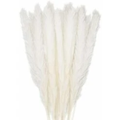 30 Pcs Herbe De La Pampa, 58 Cm Naturel Fleur De Pampa, Blanc Boho Decoration Chambre Maison Salon, Mariage Photographier Table Décoration Fleurs Sechées