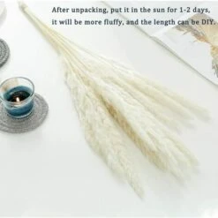 30 Pcs Herbe De La Pampa, 58 Cm Naturel Fleur De Pampa, Blanc Boho Decoration Chambre Maison Salon, Mariage Photographier Table Décoration Fleurs Sechées -Pas Cher Flore Calme Magasin 76528061 3