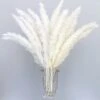 Lot De 30 Herbes De Pampa Artificielles Séchées De Style Bohème - Décoration D'intérieur - Phragmites - Fleurs Séchées - Pour Vases, Bouquet De Fleurs Blanches - Pour Mariage，55cm -Pas Cher Flore Calme Magasin 76705744 1