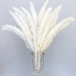 Lot De 30 Herbes De Pampa Artificielles Séchées De Style Bohème - Décoration D'intérieur - Phragmites - Fleurs Séchées - Pour Vases, Bouquet De Fleurs Blanches - Pour Mariage,55cm