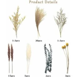 Fleurs Séchées, Naturelles Herbe De La Pampa-7 Types Différents D'eucalyptus Séchées Décoration 11 Fleurs Séchées, Naturelles Herbe De La Pampa-7 Types Différents D'eucalyptus Séchées Décoration -Pas Cher Flore Calme Magasin 78695285 5