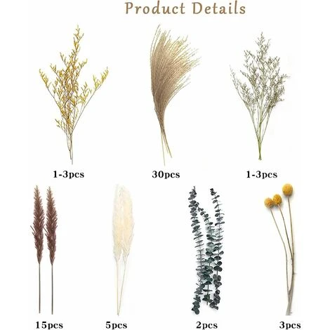 Fleurs Séchées, Naturelles Herbe De La Pampa-7 Types Différents D'eucalyptus Séchées Décoration 7 Fleurs Séchées, Naturelles Herbe De La Pampa-7 Types Différents D'eucalyptus Séchées Décoration – Image 5