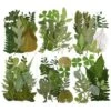 Feuilles Séchées Naturelles Séchées Pour Bougies, Bijoux, Savon, Ongles, Loisirs Créatifs