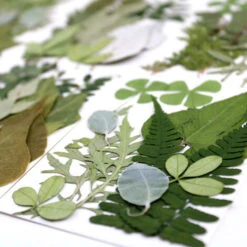 Feuilles Séchées Naturelles Séchées Pour Bougies, Bijoux, Savon, Ongles, Loisirs Créatifs -Pas Cher Flore Calme Magasin 78695693 4