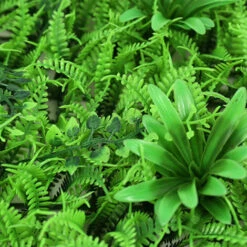 Mur Floral Artificiel En Plastique, 40 Cm X 60 Cm, Fausses Plantes, Moquette Pour L&39extérieur, Pour Un Mariage, Couleur Vert -Pas Cher Flore Calme Magasin 78766927 4