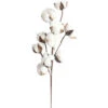 3 Pack Fleurs De Coton Sechee Naturelle Fleurs Sechees Tige Coton Fleur Naturel Fausses Branches Coton Fausses Plantes Décoration Pour Balcon Maison Table Composition Florale -Pas Cher Flore Calme Magasin 78947104 1
