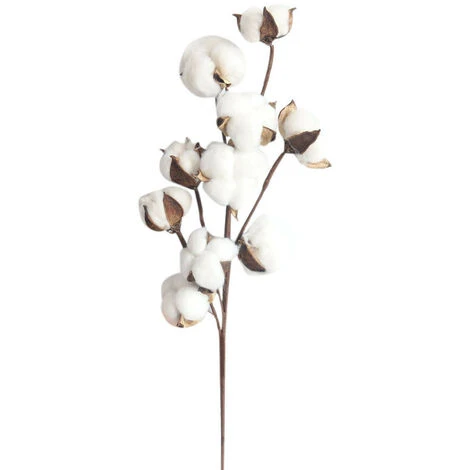3 Pack Fleurs De Coton Sechee Naturelle Fleurs Sechees Tige Coton Fleur Naturel Fausses Branches Coton Fausses Plantes Décoration Pour Balcon Maison Table Composition Florale 3 3 Pack Fleurs De Coton Sechee Naturelle Fleurs Sechees Tige Coton Fleur Naturel Fausses Branches Coton Fausses Plantes Décoration Pour Balcon Maison Table Composition Florale
