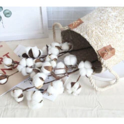 3 Pack Fleurs De Coton Sechee Naturelle Fleurs Sechees Tige Coton Fleur Naturel Fausses Branches Coton Fausses Plantes Décoration Pour Balcon Maison Table Composition Florale 10 3 Pack Fleurs De Coton Sechee Naturelle Fleurs Sechees Tige Coton Fleur Naturel Fausses Branches Coton Fausses Plantes Décoration Pour Balcon Maison Table Composition Florale -Pas Cher Flore Calme Magasin 78947104 4