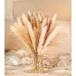 Lot De 85 Herbe De La Séchées Décoration Séchées Naturelles Blanches Fleurs Séchées Naturelles Artificielles De Décoration D'intérieur Bohème, Bouquet De Fleurs, Phragmites