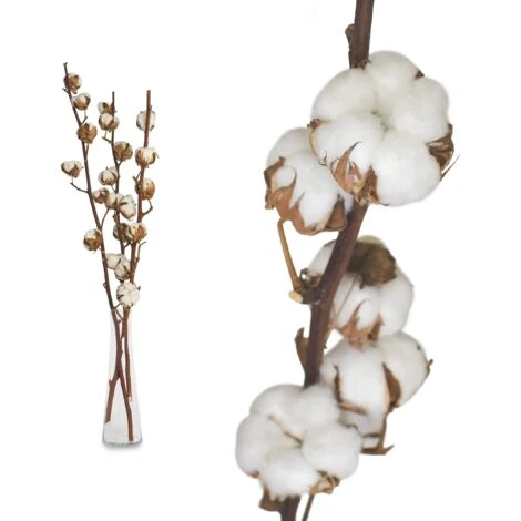 3 Pack Fleurs De Coton Sechee Naturelle Fleurs Sechees Tige Coton Fleur Naturel Fausses Branches Coton Fausses Plantes Décoration Pour Balcon Maison Table Composition Florale 3 3 Pack Fleurs De Coton Sechee Naturelle Fleurs Sechees Tige Coton Fleur Naturel Fausses Branches Coton Fausses Plantes Décoration Pour Balcon Maison Table Composition Florale