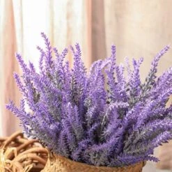 8pcs Bouquet De Lavandin Séchée 100 Tiges Lavande Bouquet Naturel Pour La Décoration Intérieure, Mariage De Lavande 11 8pcs Bouquet De Lavandin Séchée 100 Tiges Lavande Bouquet Naturel Pour La Décoration Intérieure, Mariage De Lavande -Pas Cher Flore Calme Magasin 83693758 5
