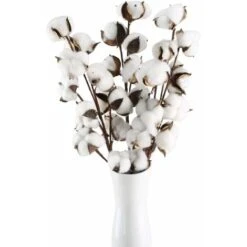 Fleurs Sechees Naturelles Coton Tige Naturelles Coton Branche Artificielle Coton Fausses Plantes Décoration Balcon Maison Table Composition Florale Sans Vase (3 Pcs Steams)