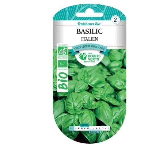 Graines Basilic Italien BIO Les Doigts Verts 4 Graines Basilic Italien BIO Les Doigts Verts – Image 2