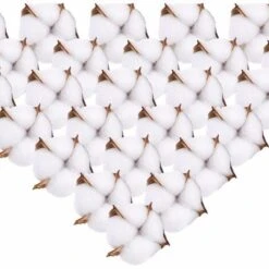 Fleur De Coton Naturelle Tête De Fleurs Séchées Coton Decoration Blanc Ave Tige Courte Pour Hiver Noël DIY Mariage Couronne Artisanat Maison Cadeau Style Ferme 6.5cm 50Pcs
