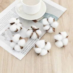 Fleur De Coton Naturelle Tête De Fleurs Séchées Coton Decoration Blanc Ave Tige Courte Pour Hiver Noël DIY Mariage Couronne Artisanat Maison Cadeau Style Ferme 6.5cm 50Pcs -Pas Cher Flore Calme Magasin 83753083 3