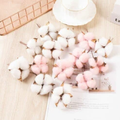 Fleur De Coton Naturelle Tête De Fleurs Séchées Coton Decoration Blanc Ave Tige Courte Pour Hiver Noël DIY Mariage Couronne Artisanat Maison Cadeau Style Ferme 6.5cm 50Pcs -Pas Cher Flore Calme Magasin 83753083 5