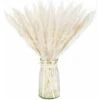 Lot De 20 Herbes De Pampa Séchées Naturelles Pour La Décoration Intérieure (blanc) 1 Lot De 20 Herbes De Pampa Séchées Naturelles Pour La Décoration Intérieure (blanc) -Pas Cher Flore Calme Magasin 85771681 1