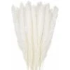 30 Pcs Herbe De La Pampa, 58 Cm Naturel Pampa Fleur Bouquet De Fleurs Sechees Pour Vases, Blanc Boho Decoration Chambre Maison Salon, Mariage Photographier Table Décoration WHWY 2 30 Pcs Herbe De La Pampa, 58 Cm Naturel Pampa Fleur Bouquet De Fleurs Sechees Pour Vases, Blanc Boho Decoration Chambre Maison Salon, Mariage Photographier Table Décoration WHWY -Pas Cher Flore Calme Magasin 85923661 1