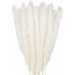 30 Pcs Herbe De La Pampa, 58 Cm Naturel Pampa Fleur Bouquet De Fleurs Sechees Pour Vases, Blanc Boho Decoration Chambre Maison Salon, Mariage Photographier Table Décoration WHWY