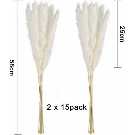 30 Pcs Herbe De La Pampa, 58 Cm Naturel Pampa Fleur Bouquet De Fleurs Sechees Pour Vases, Blanc Boho Decoration Chambre Maison Salon, Mariage Photographier Table Décoration WHWY 4 30 Pcs Herbe De La Pampa, 58 Cm Naturel Pampa Fleur Bouquet De Fleurs Sechees Pour Vases, Blanc Boho Decoration Chambre Maison Salon, Mariage Photographier Table Décoration WHWY – Image 2