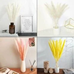 30 Pcs Herbe De La Pampa, 58 Cm Naturel Pampa Fleur Bouquet De Fleurs Sechees Pour Vases, Blanc Boho Decoration Chambre Maison Salon, Mariage Photographier Table Décoration WHWY 11 30 Pcs Herbe De La Pampa, 58 Cm Naturel Pampa Fleur Bouquet De Fleurs Sechees Pour Vases, Blanc Boho Decoration Chambre Maison Salon, Mariage Photographier Table Décoration WHWY -Pas Cher Flore Calme Magasin 85923661 5
