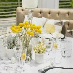 RUIOIU 30 Tiges Craspedia Fleur Sechees Naturel Bouquet Fleurs De Craspedia Séchées Jaune Billy Button Balles Plante Pour Décoration Mariage Maison Table Vase Arrangement De Fleurs Florale 8 RUIOIU 30 Tiges Craspedia Fleur Sechees Naturel Bouquet Fleurs De Craspedia Séchées Jaune Billy Button Balles Plante Pour Décoration Mariage Maison Table Vase Arrangement De Fleurs Florale -Pas Cher Flore Calme Magasin 87204072 3
