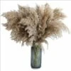 DHKLFA Pampas Roseau Ornement Naturel Fleurs Séchées Marron Bouquet Pampa Roseau Fleurs Séchées Ornement Bohème Maison Salon Mariage 60cm Fleurs Naturelles Séchées -Pas Cher Flore Calme Magasin 87908419 1