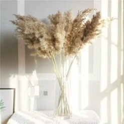 DHKLFA Pampas Roseau Ornement Naturel Fleurs Séchées Marron Bouquet Pampa Roseau Fleurs Séchées Ornement Bohème Maison Salon Mariage 60cm Fleurs Naturelles Séchées -Pas Cher Flore Calme Magasin 87908419 3