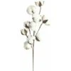 YOIURT 10 Fleurs De Coton Séchées, Branches De Kapok, Fleurs éternelles Séchées, Accessoires De Décoration De Bouquet De Bricolage En Coton Séché à La Main, Blanc, -Pas Cher Flore Calme Magasin 87918389 1