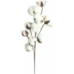 YOIURT 10 Fleurs De Coton Séchées, Branches De Kapok, Fleurs éternelles Séchées, Accessoires De Décoration De Bouquet De Bricolage En Coton Séché à La Main, Blanc,